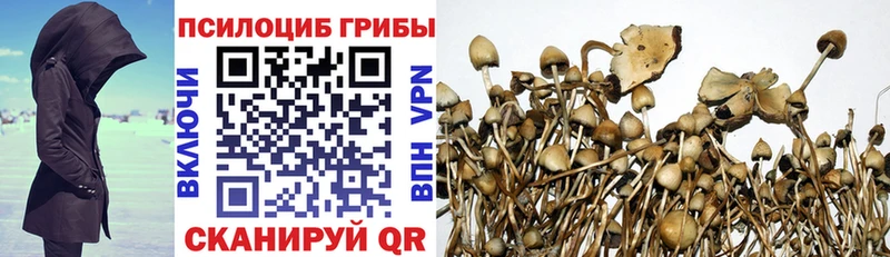 Галлюциногенные грибы мицелий  Новое Девяткино 